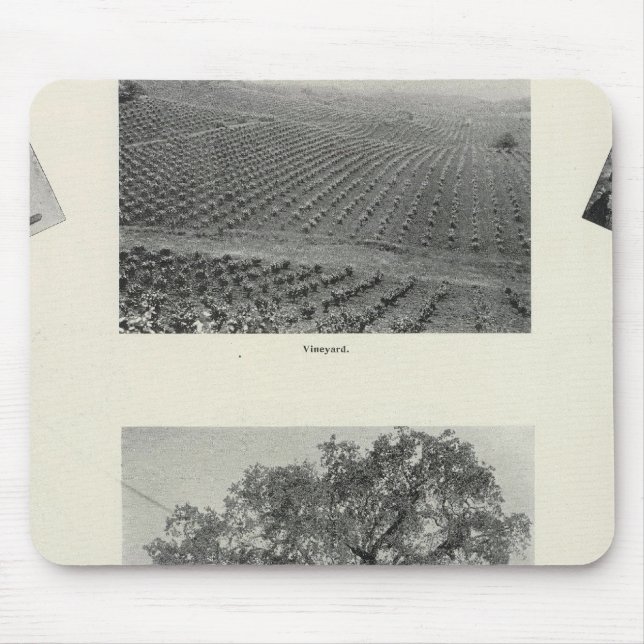 California 4 mouse pad (Front)