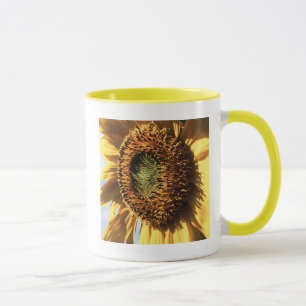 California, A Mammoth Sunflower (Helianthus) 1 Mug