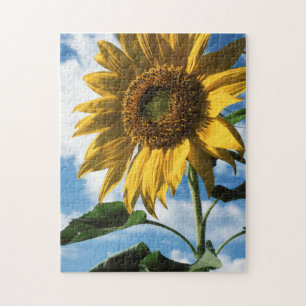 California, A Mammoth Sunflower (Helianthus) 2 Jigsaw Puzzle