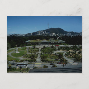 California Academy of Sciences #4 Postcard