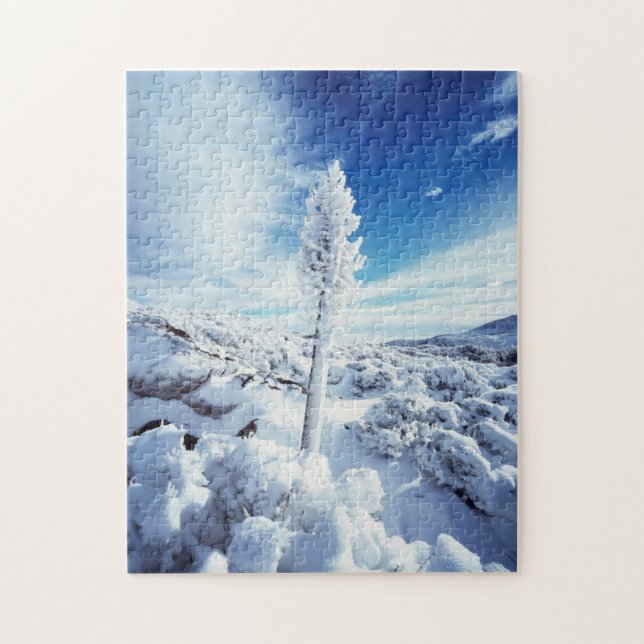 California, Anza Borrego Desert State Park 2 Jigsaw Puzzle (Vertical)