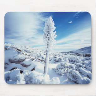 California, Anza Borrego Desert State Park 2 Mouse Pad