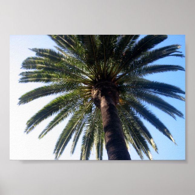 California Beach Palm Tree Custom Poster Art Print (Front)