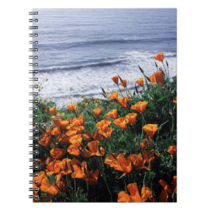 California, Big Sur Coast, California Poppy Notebook