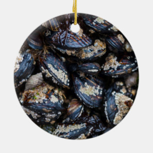 California Blue Mussels growing on rock in Bandon Ceramic Ornament