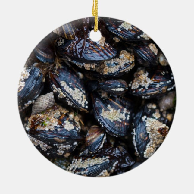 California Blue Mussels growing on rock in Bandon Ceramic Ornament (Back)