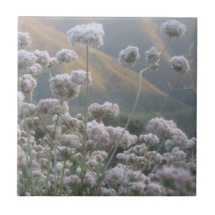 California Buckwheat Ceramic Tile