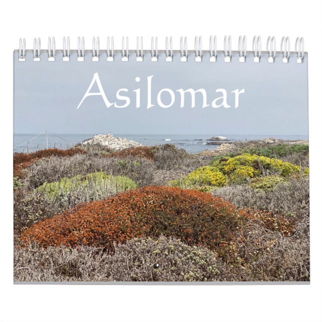 California Canvas: Asilomar Calendar (Cover)