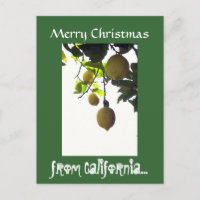 California Christmas Postcard