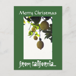 California Christmas Postcard