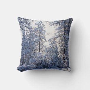 California, Cleveland National Forest, Laguna 1 Cushion
