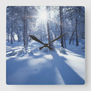 California, Cleveland National Forest, Laguna 3 Square Wall Clock