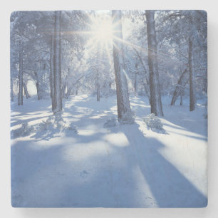 California, Cleveland National Forest, Laguna 3 Stone Coaster