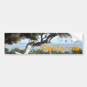 California coastal tree bumper sticker