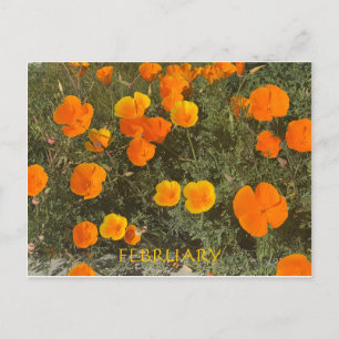 CALIFORNIA COLOR CELEBRATION: FEBRUARY POSTCARD