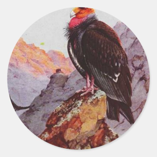 "California condor" Classic Round Sticker (Front)