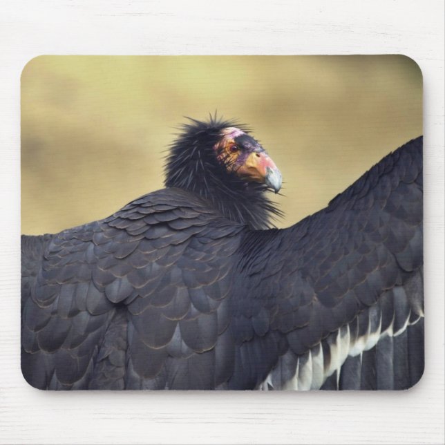 California condor mouse pad (Front)