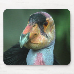 California Condor Mousepad