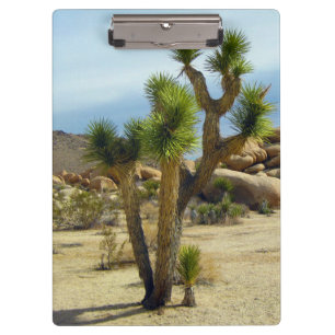 California Desert Succulents, Rocks & Clear Sky Clipboard