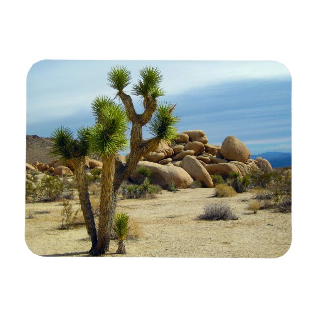 California Desert Succulents, Rocks & Clear Sky Magnet (Horizontal)