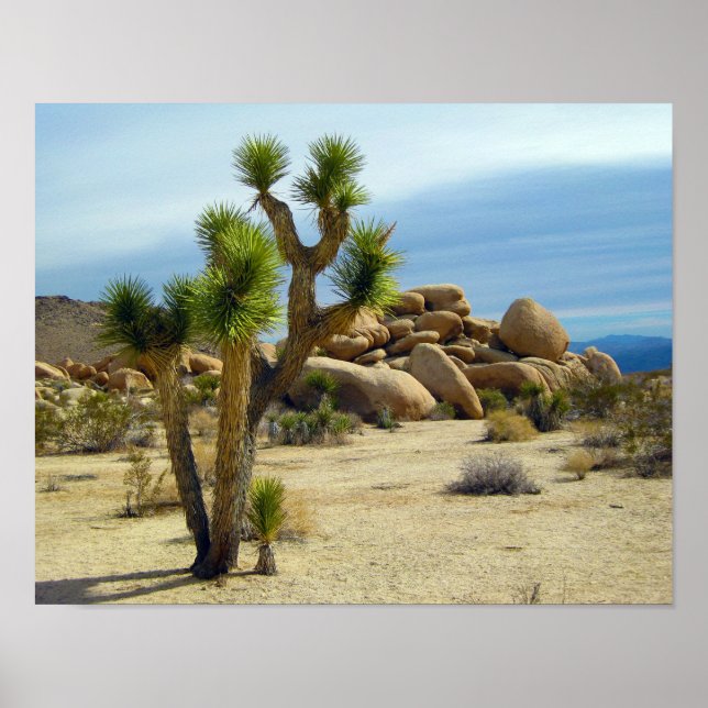 California Desert Succulents, Rocks & Clear Sky Poster (Front)