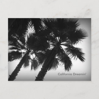 California Dreamin' Palm Trees Postcard
