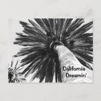 California Dreamin' Postcard