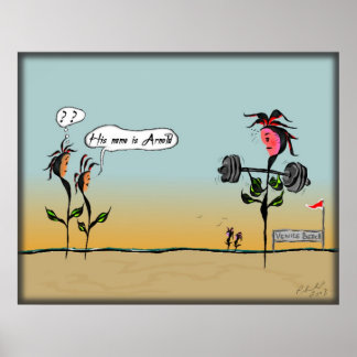 California Dreamin' Poster