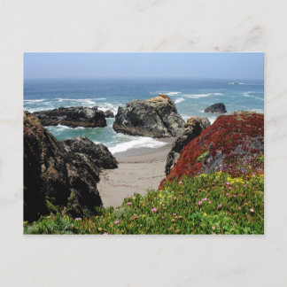 California Dreaming Postcard