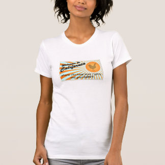 California Equal Rights Ladies Fitted V-Neck T-Shirt