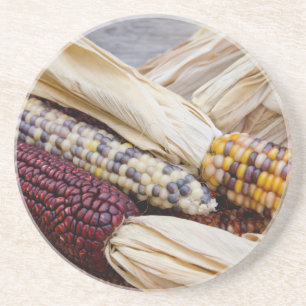 California. Fall Harvest Colourful Indian Corn Coaster