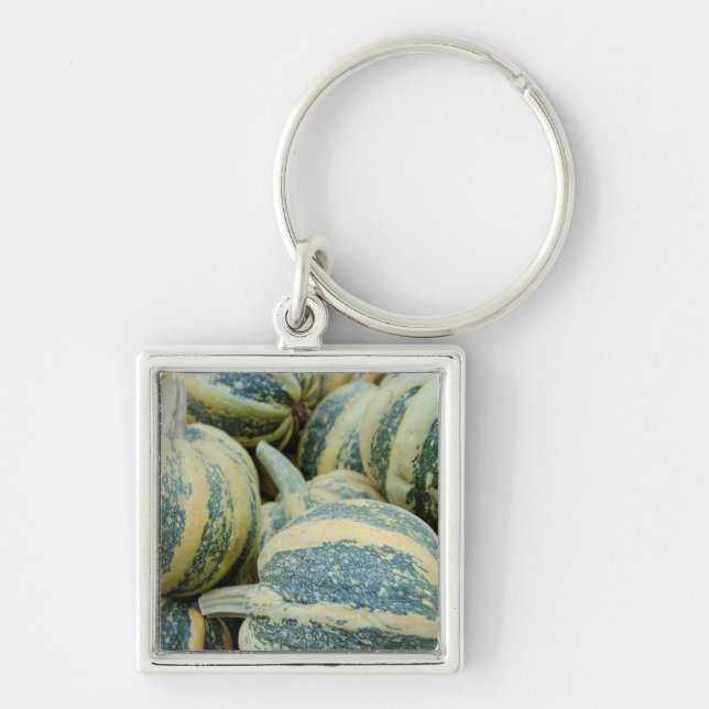 California. Fall Harvest In California Key Ring (Front)