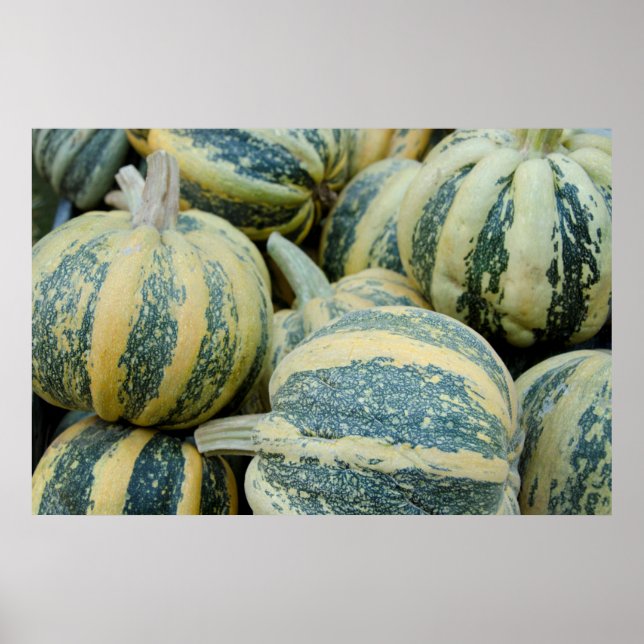 California. Fall Harvest In California Poster (Front)