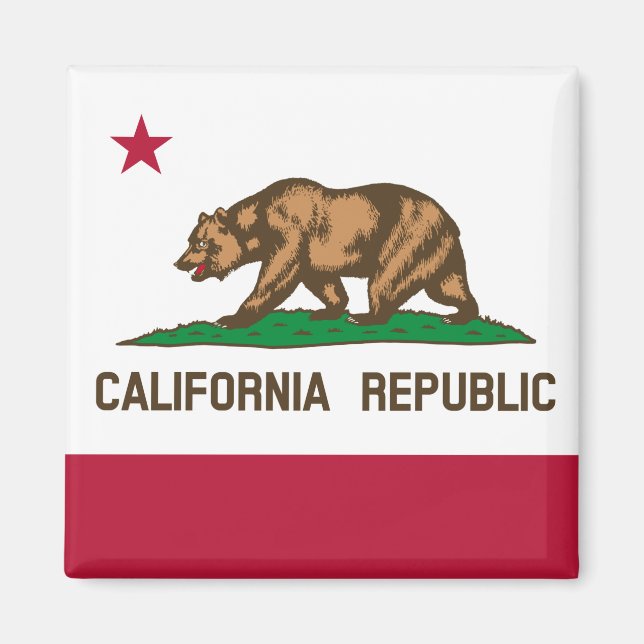 California flag & California, USA holiday/sports Magnet (Front)