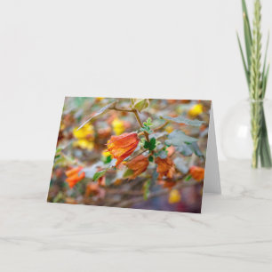 California Flannel Bush Card