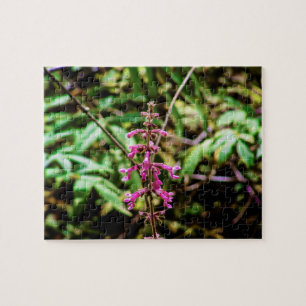 California Forest Flower Beardtongue Jigsaw Puzzle