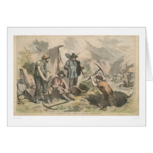 California Gold Diggers (2525A)