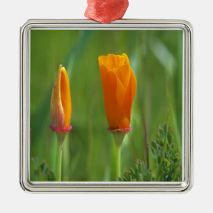 California golden poppies in a green field 2 metal ornament