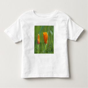 California golden poppies in a green field 2 toddler T-Shirt