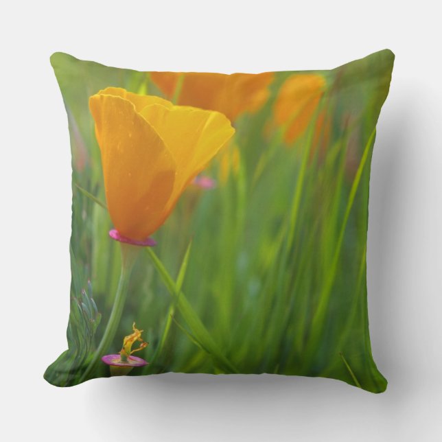 California golden poppies in a green field cushion (Front)