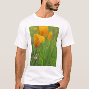 California golden poppies in a green field T-Shirt