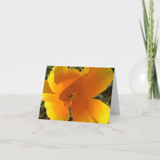 California Golden Poppy - 2 Thank You Card