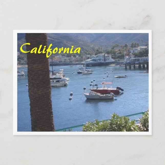 California Got Sushi Postcard (Front)