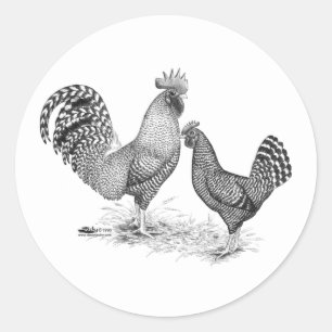 California Grey Rooster and Hen Classic Round Sticker