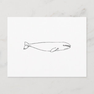 California Grey Whale Postcard