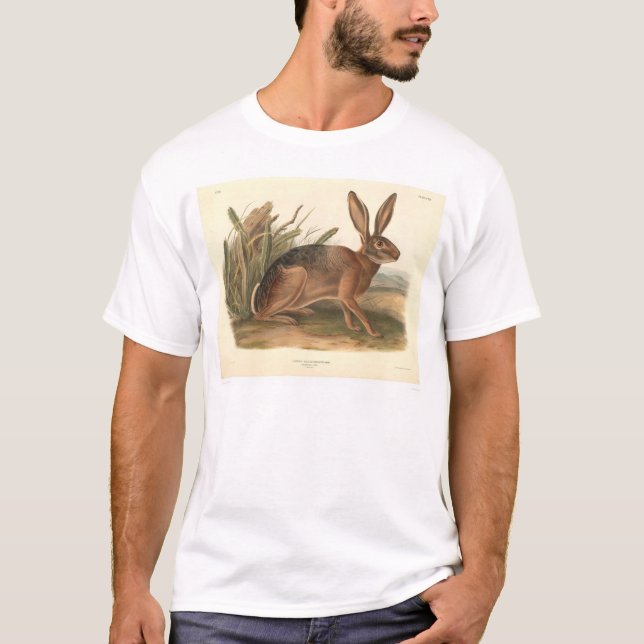 California Hare by Audubon (0177A) T-Shirt (Front)