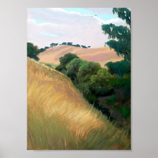 California Hills Poster