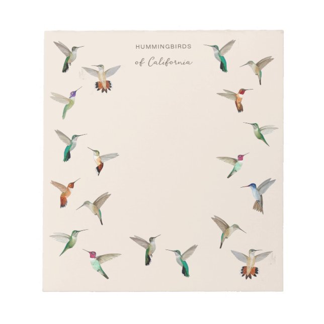 California Hummingbirds  Notepad (Front)