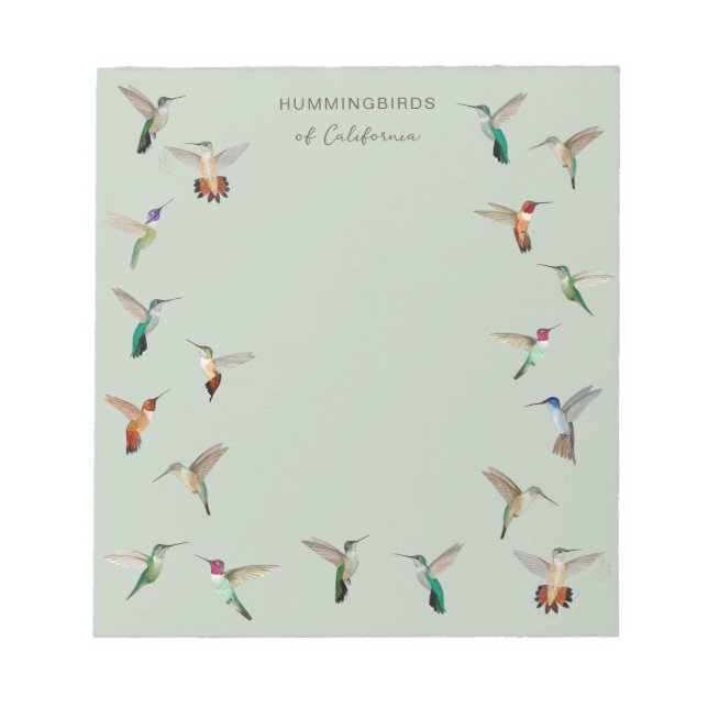 California Hummingbirds  Notepad (Front)