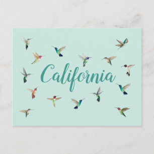 California Hummingbirds Postcard